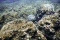 Underwater Rocks and Pebbles Seabed Royalty Free Stock Photo