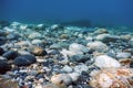 Underwater Rocks and Pebbles on the Seabed Royalty Free Stock Photo