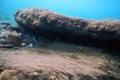 Underwater Rocks and Pebbles on the Seabed Royalty Free Stock Photo