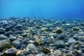 Underwater Rocks and Pebbles on the Seabed Royalty Free Stock Photo