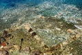 Underwater ruins of the ancient temple of Agios Spyridonas