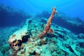 underwater rusted anchor from a sunken ship