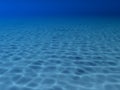 Underwater scene Royalty Free Stock Photo