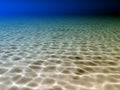 Underwater scene Royalty Free Stock Photo