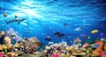 Underwater Scene With Coral Reef Royalty Free Stock Photo