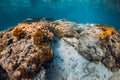 Underwater scene with corals, sand and fish in tropical ocean