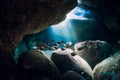 Underwater scene with school of fish, stones and sun rays in sea Royalty Free Stock Photo