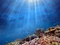 Underwater scene with sun rays shining through the water Royalty Free Stock Photo