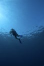 Underwater scene : surfacing scuba diver Royalty Free Stock Photo