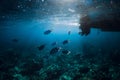 Underwater scene with fish, bottom of boat with sunlight in blue ocean Royalty Free Stock Photo