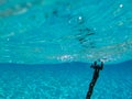 Underwater scene in tropical sandy beach, Koufonisi island, Crete. Royalty Free Stock Photo