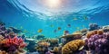 Underwater Scene - Tropical Seabed With Reef And Sunshine