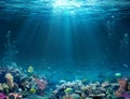 Underwater Scene - Tropical Seabed With Reef Royalty Free Stock Photo