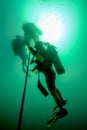 Underwater scenery of Indian ocean close by Sri Lanka island