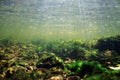 Underwater scenery in mountain river Royalty Free Stock Photo