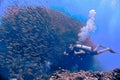 Underwater scenery with a scuba diver