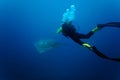 Underwater scuba sting ray