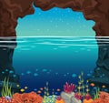 Underwater sea - coral reef, cave, fish. Night sky.