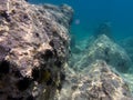 UNDERWATER sea level photo of the Aponissos beach, Agistri island, Saronic Gulf, Attica, Greece Royalty Free Stock Photo