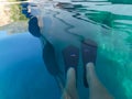 Yacht reflection and female legs with flippers in turquoise crystal clear water - sea cruise vacation concept.