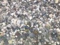 Underwater sea stones. sea water and pebbles Royalty Free Stock Photo