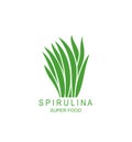 Underwater seaweed spirulina logo. Isolated underwater seaweed spirulina on white background