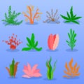 Underwater seaweed vector set on blue background. Sea plants and aquatic marine algae. Collection of types aquarium Royalty Free Stock Photo