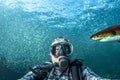 Underwater selfie with great white shark ready to attack a scuba diver Royalty Free Stock Photo