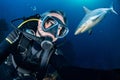 Underwater selfie with Grey shark ready to attack Royalty Free Stock Photo