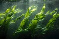 Concept Underwater Photography, Algae Dance, Underwater Serenity Algae Dance in Dappled Light