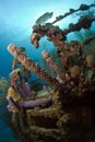 Underwater shipwreck Royalty Free Stock Photo