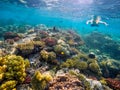 Underwater shoot of a young boy snorkeling in red sea Royalty Free Stock Photo