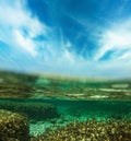 Underwater shot