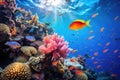 Underwater shot of coral fish, corals and anemones