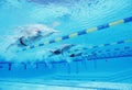 Underwater shot of four male athletes competing in swimming pool