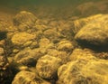 Underwater shot of rocks in a shallow stream Royalty Free Stock Photo