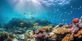 An underwater shot of a school of fish swimming near a coral reef, displayed against a vibrant, colorful background Royalty Free Stock Photo