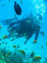 Yound man scuba diving underwater in ocean