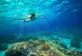 Underwater shot of a woman snorkeling in the sun