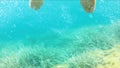 Underwater shots of a Man with his surfboard