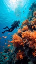 Underwater spectacle Scuba diver among fish and vibrant coral reef Royalty Free Stock Photo