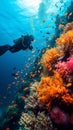 Underwater spectacle Scuba diver among fish and vibrant coral reef Royalty Free Stock Photo