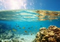 Underwater split between reef with fishes and blue sky background.Macro.AI Generative Royalty Free Stock Photo