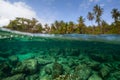 Underwater split shot of the sea rocky bottom