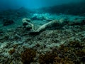 Underwater Statues at the bottom of the sea in Gili Meno Indonesia