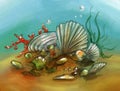 Underwater still life with shells and corals