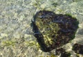 Underwater stone heart