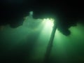 Underwater sunrays below floating peat layer at bog lake