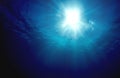 Underwater Sunshine Royalty Free Stock Photo