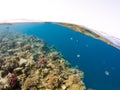 Underwater surface split view of coral fish Royalty Free Stock Photo